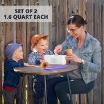 2-Pack Reusable Ice Cream Tub Containers