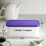 2-Pack Reusable Ice Cream Tub Containers
