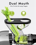 SiFENE Compact Cold Press Juicer for Fruits & Veggies