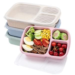 4 Pack Bento Lunch Box Set - 3 Compartments