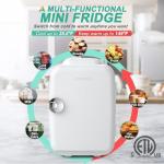 CROWNFUL 4L Mini Portable Cooler and Warmer
