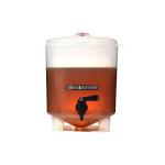 BrewDemon Home Beer Kit with Bonus Bottles