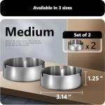 Roygra Stainless Steel Outdoor Ashtray (2 Pack)