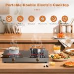 Disaenvir 2-Burner Electric Cooktop with Touch Control