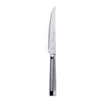 Oneida Stainless Steel Steak Knife Set, 4 Pieces