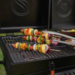 Portable Blackstone Tailgater Grill and Griddle Combo