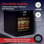 Magic Mill Food Dehydrator with 10 Stainless Steel Trays
