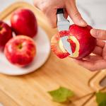 OAKSWARE 2.75 Inch Bird Beak Paring Knife