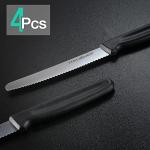 Premium Stainless Steel Steak Knives Set of 4