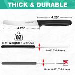 Premium Stainless Steel Steak Knives Set of 4