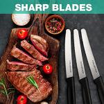 Premium Stainless Steel Steak Knives Set of 4