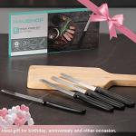 Premium Stainless Steel Steak Knives Set of 4