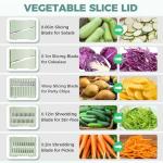Large Airpro Salad Spinner with 5 Blades