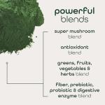 Organic Super Greens Powder with 70+ Superfoods
