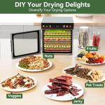 VALONDINO 10-Tray Food Dehydrator with Timer