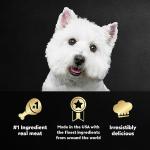 Cesar Variety Pack Wet Dog Food 24 Trays