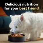 Cesar Variety Pack Wet Dog Food 24 Trays