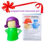 Microwave Steam Cleaner - Easy Kitchen Gadget Gift