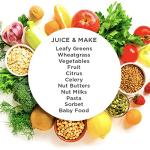 Omega Slow Masticating Juicer for Nut Milks & More