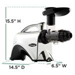 Omega Slow Masticating Juicer for Nut Milks & More