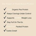 Vegan Vanilla Protein Powder for Clean Shakes