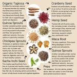 Vegan Vanilla Protein Powder for Clean Shakes