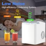 Portable Ice Maker with Handle for Home & Camping