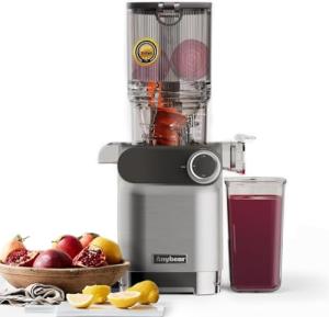 Anybear 200W Cold Press Slow Juicer - Silver