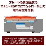 Iwatani Smokeless Korean BBQ Grill with Extra Plate