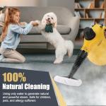 OneAmg Handheld Steam Cleaner with 10 Attachments