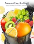 Ganiza Slow Masticating Juicer with Large Feed Chute