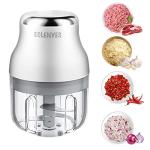 Mini USB Garlic Chopper and Food Processor