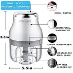 Mini USB Garlic Chopper and Food Processor