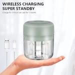 Green Mini Electric Food Processor and Garlic Chopper