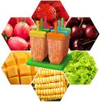 Set of 6 Reusable Popsicle Molds with Funnel