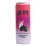 Dragonberry Warrior Energy Drink Pack - 6 Cans
