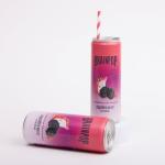 Dragonberry Warrior Energy Drink Pack - 6 Cans