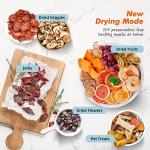Septree Retro Food Dehydrator with 6 Steel Trays