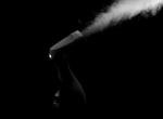 GOALPHA 1500W Quick Heat Handheld Garment Steamer