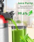 Cold Press Masticating Juicer with Large Feed Chute