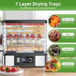 Stainless Steel Food Dehydrator for Jerky & Fruit