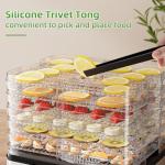 Stainless Steel Food Dehydrator for Jerky & Fruit