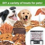 Stainless Steel Food Dehydrator for Jerky & Fruit