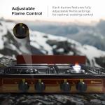 Koblenz Portable 4-Burner Gas Stove - Bronze