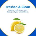 Plink Garbage Disposal Cleaner Balls - 40 Count