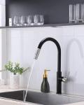 Black Ceramic Soap Dispenser with Gold Pump