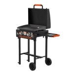 Blackstone 22 Inch Portable Gas Griddle Grill