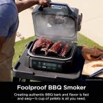 Ninja 6-in-1 Woodfire Grill and Smoker