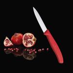 Victorinox Swiss Classic 3¼" Paring Knife - Red