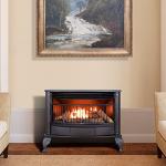 ProCom 25,000 BTU Dual Fuel Fireplace, Black